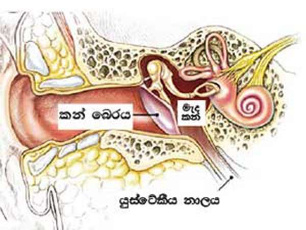 මොනවද මේ කර්ණරෝග